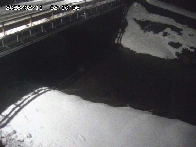 見槻川１2026/02/11 3:00:00