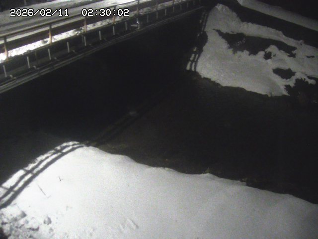 見槻川１2026/02/11 3:00:00