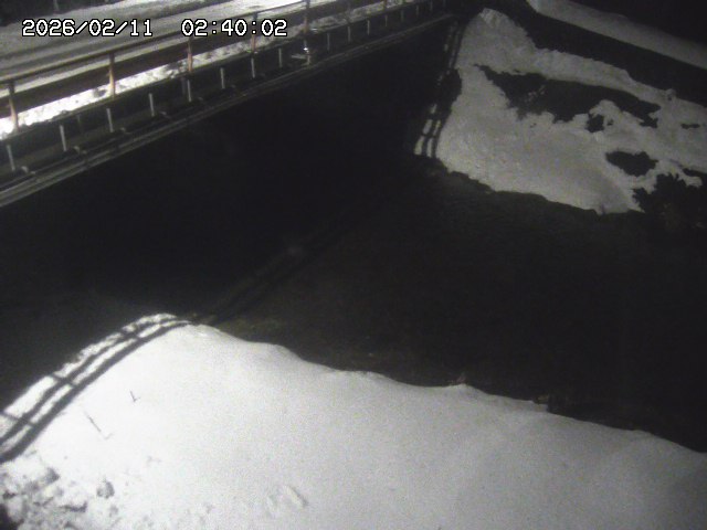 見槻川１2026/02/11 3:00:00