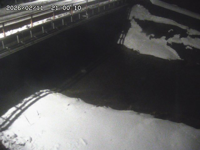 見槻川１2026/02/12 18:50:00