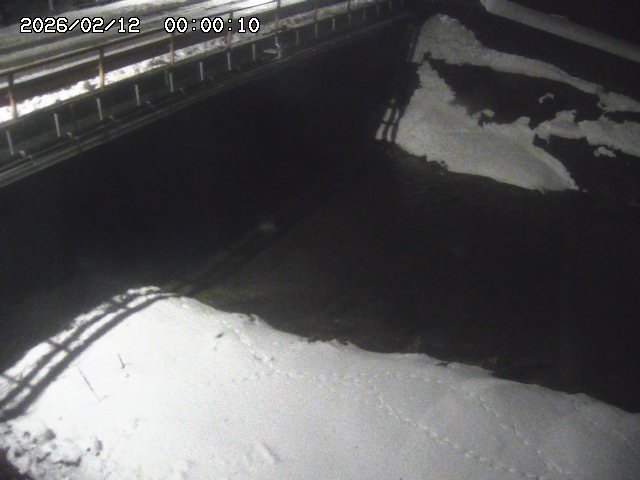 見槻川１2026/02/12 18:50:00