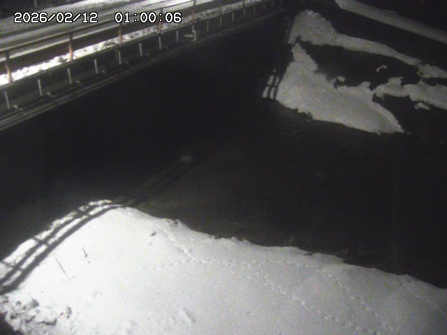 見槻川１2026/02/12 18:50:00