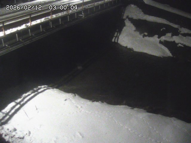 見槻川１2026/02/12 18:50:00