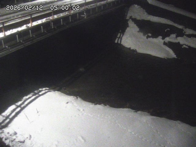 見槻川１2026/02/12 18:50:00