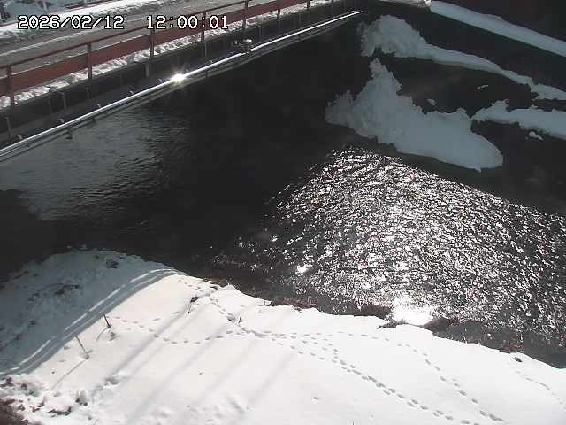 見槻川１2026/02/12 18:50:00