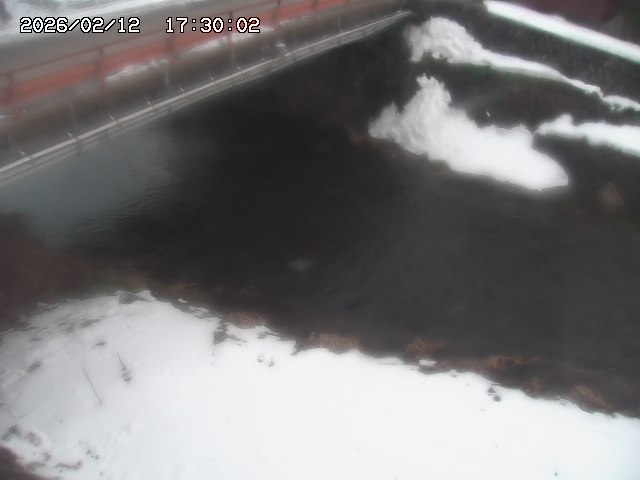 見槻川１2026/02/12 18:50:00