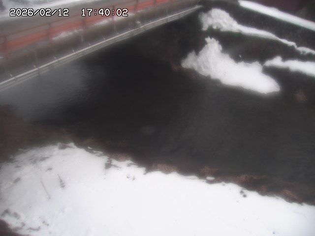 見槻川１2026/02/12 18:50:00