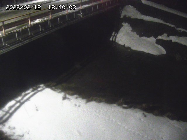 見槻川１2026/02/12 18:50:00