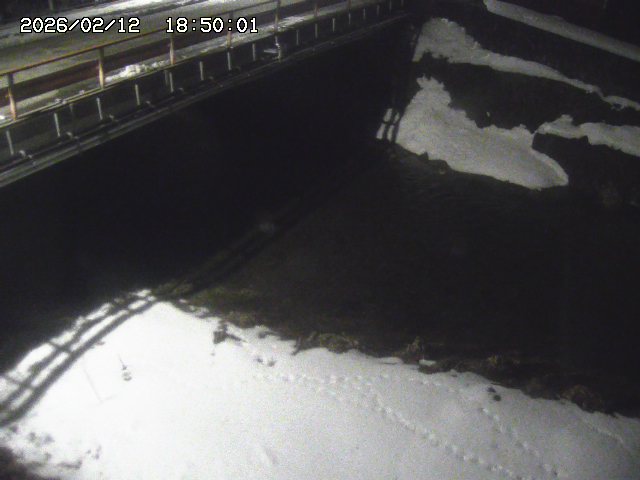 見槻川１2026/02/12 18:50:00