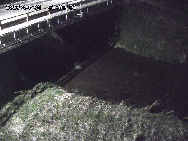見槻川１2026/04/05 3:30:00