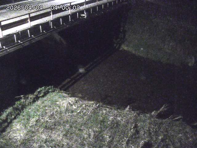 見槻川１2026/04/05 3:30:00