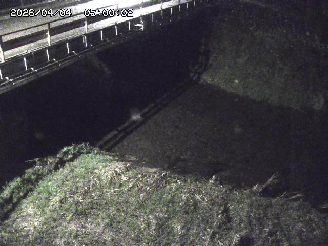 見槻川１2026/04/05 3:30:00