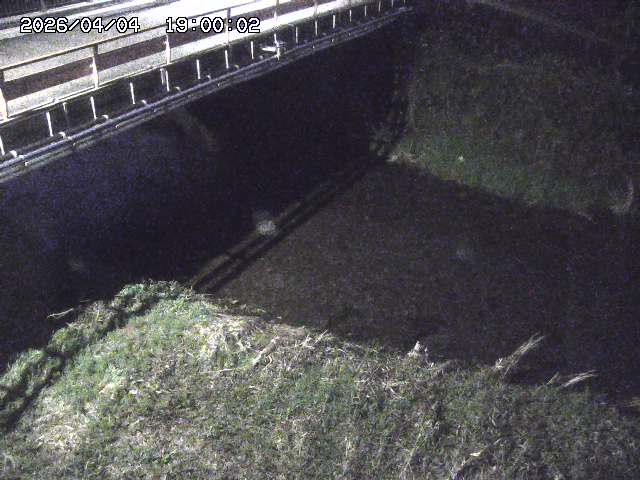 見槻川１2026/04/05 3:30:00