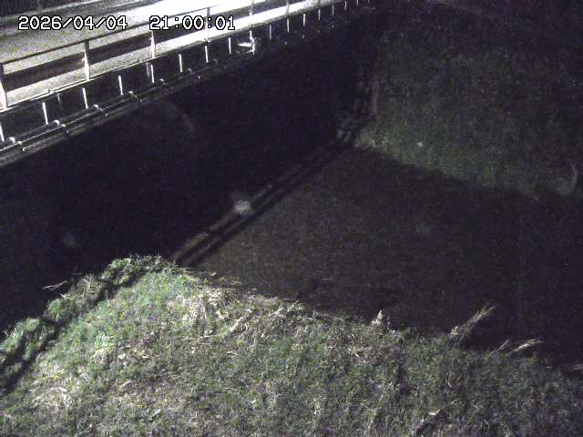 見槻川１2026/04/05 3:30:00