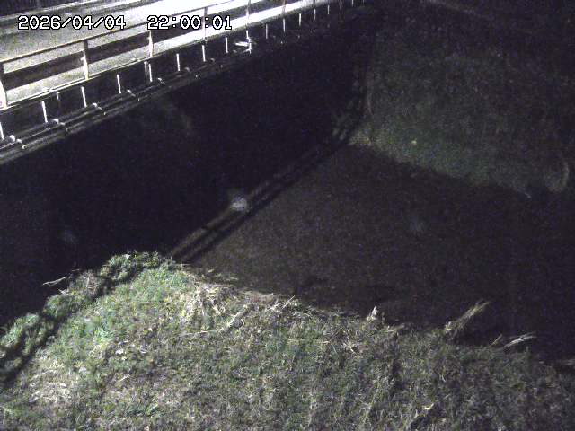 見槻川１2026/04/05 3:30:00