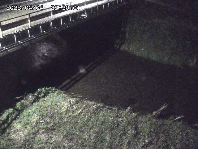 見槻川１2026/04/05 3:30:00