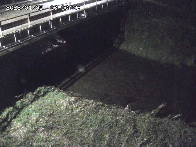 見槻川１2026/04/05 3:30:00