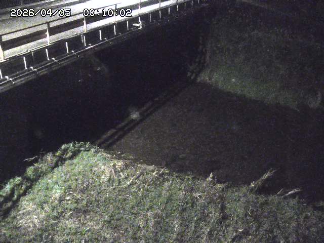 見槻川１2026/04/05 3:30:00