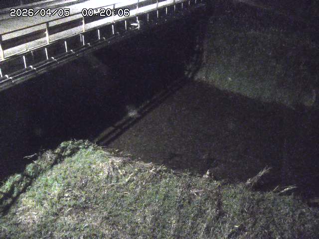 見槻川１2026/04/05 3:30:00