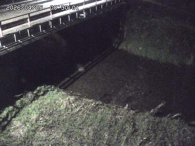 見槻川１2026/04/05 3:30:00