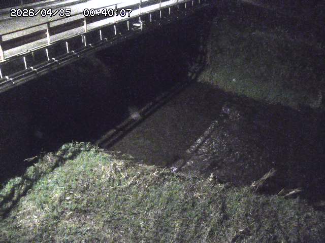 見槻川１2026/04/05 3:30:00
