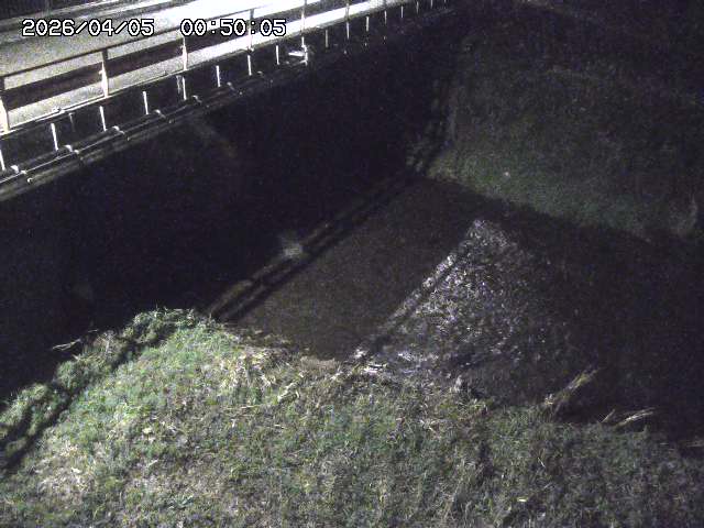 見槻川１2026/04/05 3:30:00