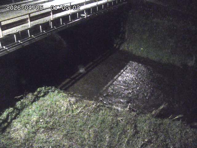 見槻川１2026/04/05 3:30:00