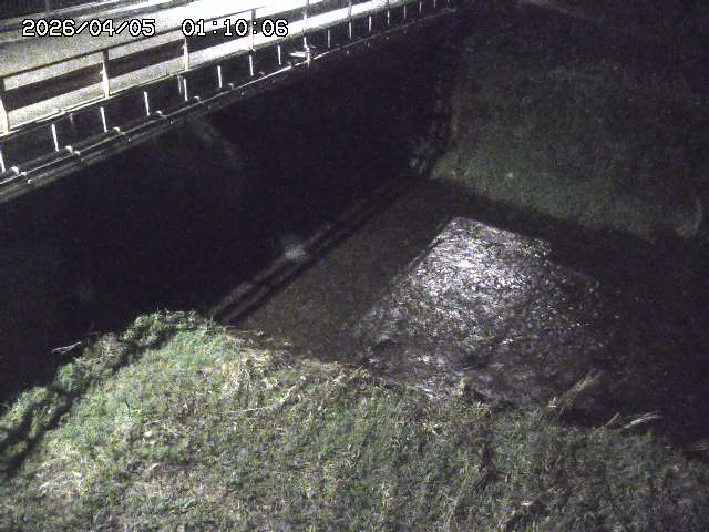 見槻川１2026/04/05 3:30:00
