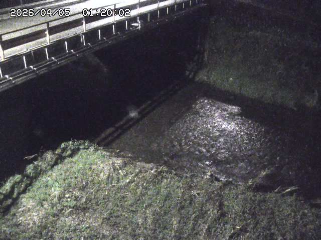 見槻川１2026/04/05 3:30:00