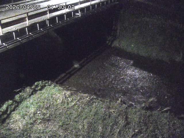 見槻川１2026/04/05 3:30:00