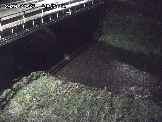 見槻川１2026/04/05 3:30:00