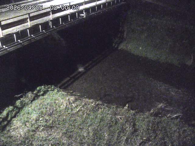 見槻川１2026/04/05 3:30:00
