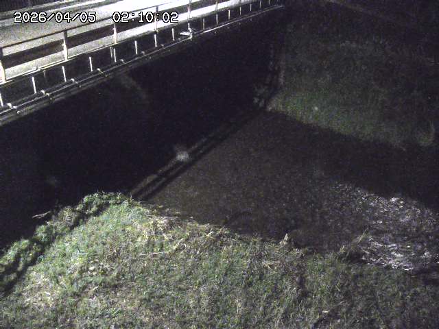見槻川１2026/04/05 3:30:00