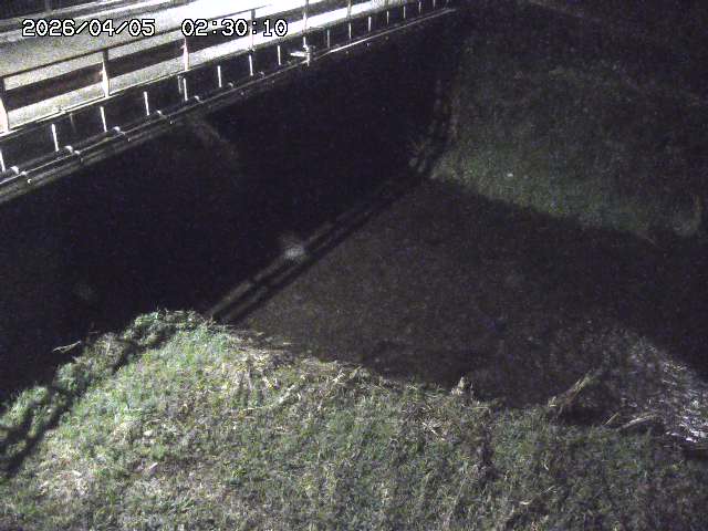 見槻川１2026/04/05 3:30:00
