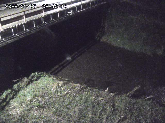 見槻川１2026/04/05 3:30:00
