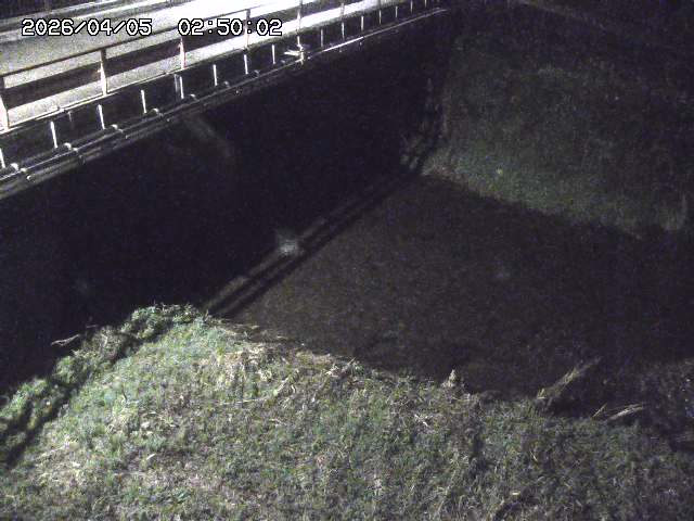 見槻川１2026/04/05 3:30:00