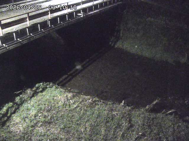 見槻川１2026/04/05 3:30:00