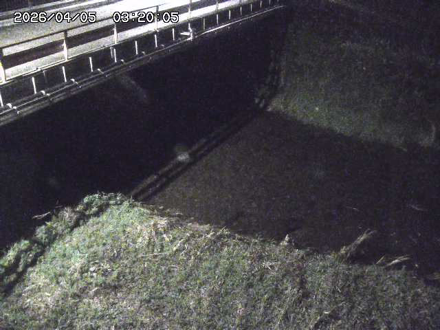 見槻川１2026/04/05 3:30:00
