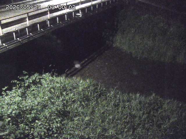 見槻川１2026/05/30 3:30:00