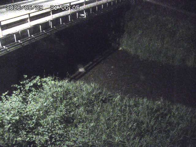 見槻川１2026/05/30 3:30:00