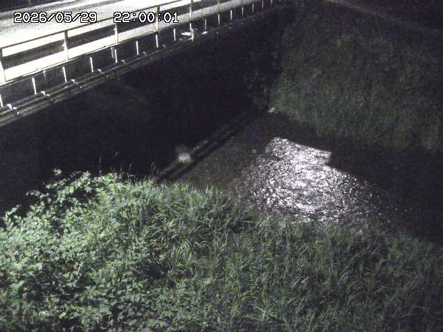 見槻川１2026/05/30 3:30:00