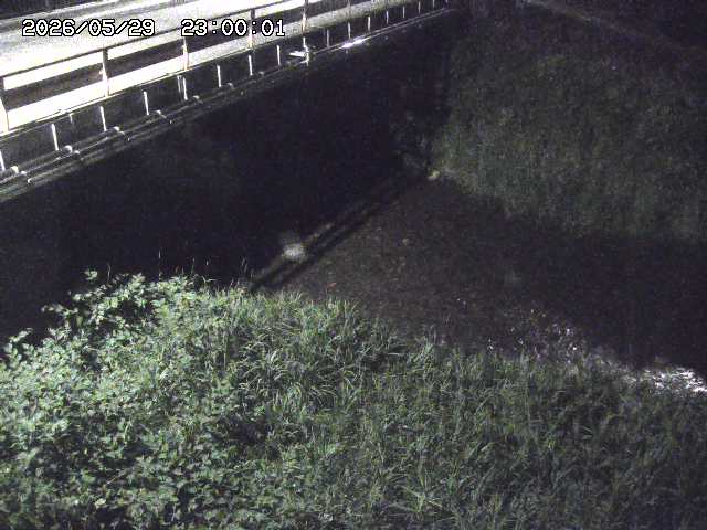 見槻川１2026/05/30 3:30:00