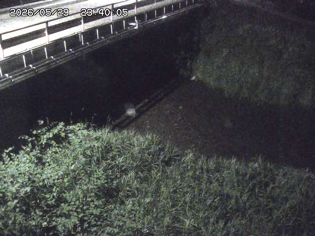 見槻川１2026/05/30 3:30:00