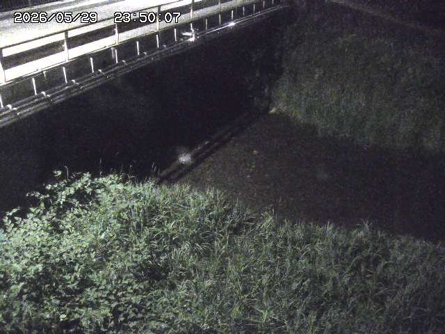 見槻川１2026/05/30 3:30:00