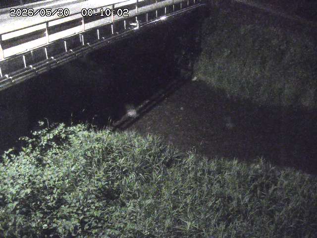 見槻川１2026/05/30 3:30:00