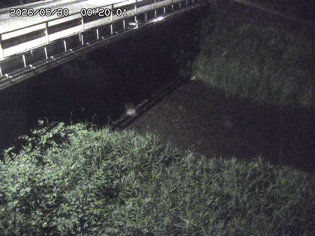 見槻川１2026/05/30 3:30:00