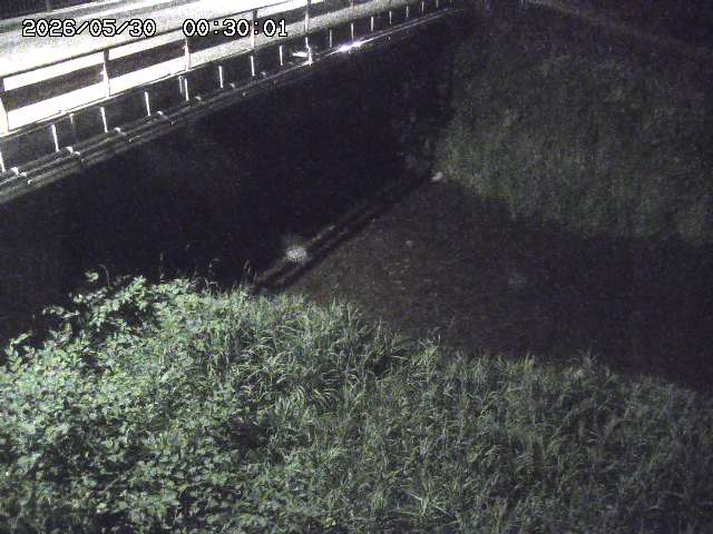 見槻川１2026/05/30 3:30:00
