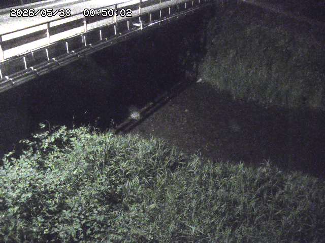 見槻川１2026/05/30 3:30:00