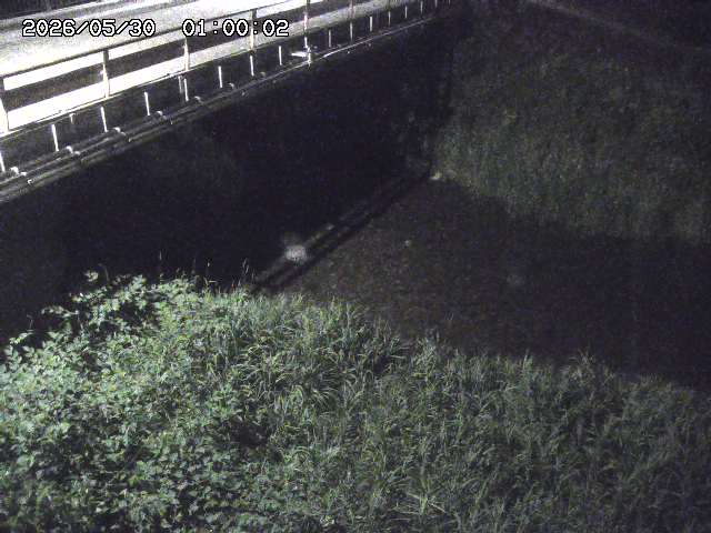 見槻川１2026/05/30 3:30:00
