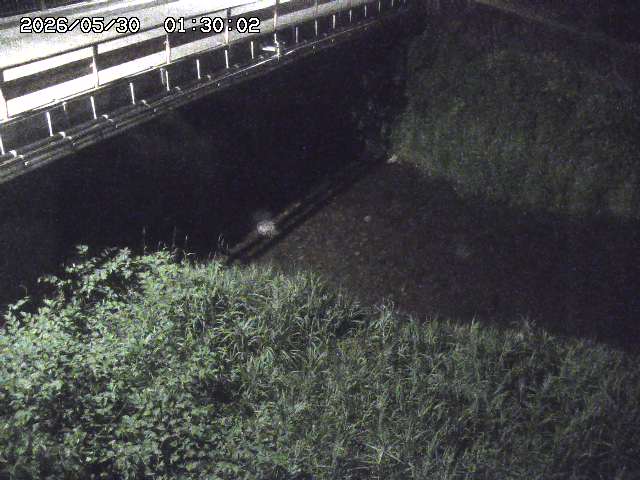 見槻川１2026/05/30 3:30:00